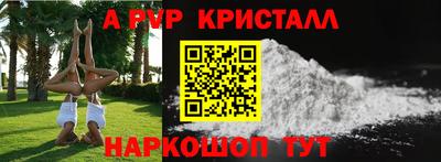 гидра Будённовск