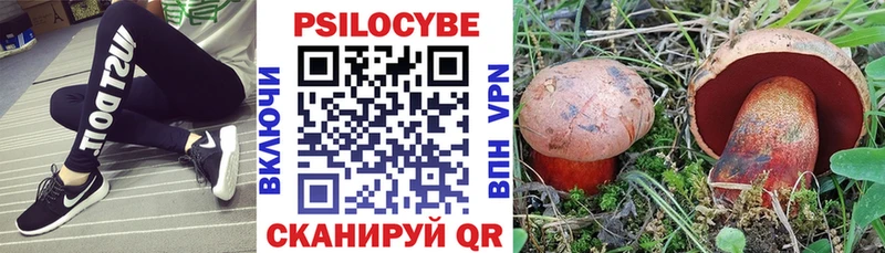 Галлюциногенные грибы Psilocybine cubensis  mega как зайти  Кострома 