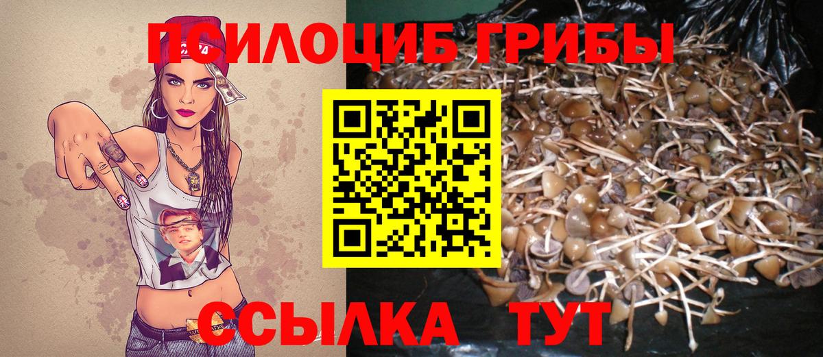 хочу наркоту  Вход с VPN  Кострома  Галлюциногенные грибы GOLDEN TEACHER 