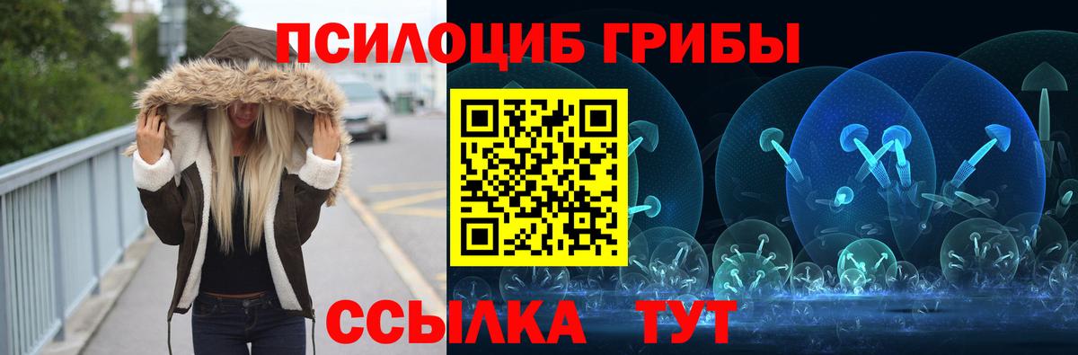 Галлюциногенные грибы Cubensis Кострома
