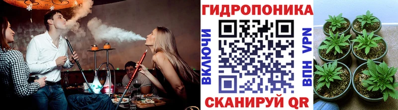 Бошки Шишки конопля  Кострома 