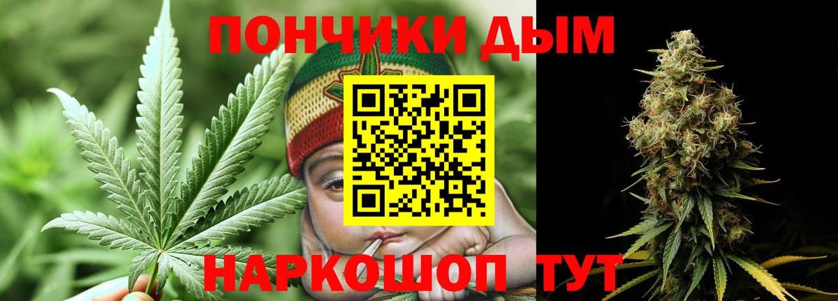 Каннабис сатива Кострома